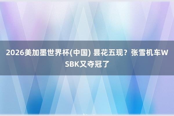 2026美加墨世界杯(中國) 曇花五現(xiàn)？張雪機(jī)車WSBK又奪