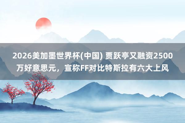 2026美加墨世界杯(中國) 賈躍亭又融資2500萬好意思元