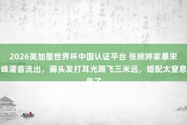 2026美加墨世界杯中國認證平臺 張婉婷家暴宋寧峰灌音流出，