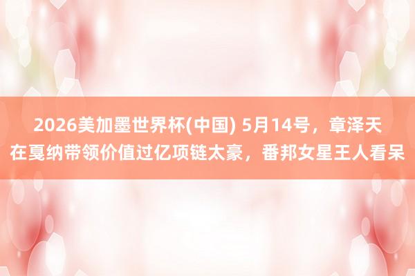 2026美加墨世界杯(中國) 5月14號，章澤天在戛納帶領價
