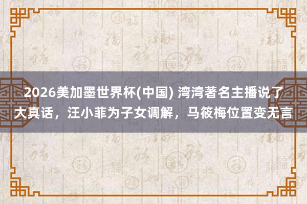 2026美加墨世界杯(中國) 灣灣著名主播說了大真話，汪小菲為子女調解，馬筱梅位置變無言