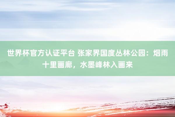 世界杯官方認(rèn)證平臺(tái) 張家界國(guó)度叢林公園：煙雨十里畫廊，水墨峰