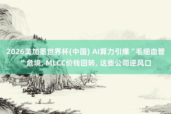 2026美加墨世界杯(中國) AI算力引爆“毛細血管”危境,