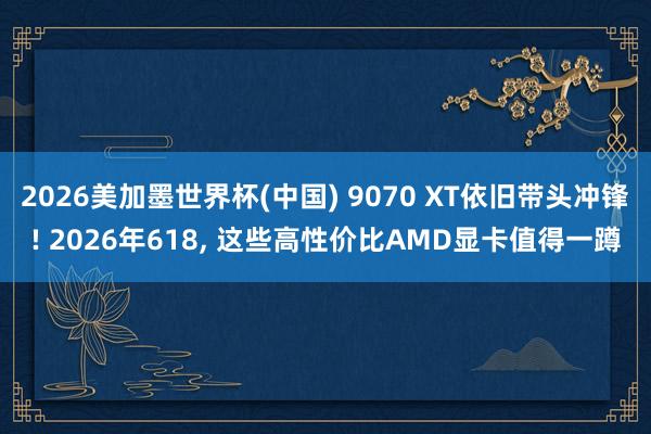 2026美加墨世界杯(中國) 9070 XT依舊帶頭沖鋒! 