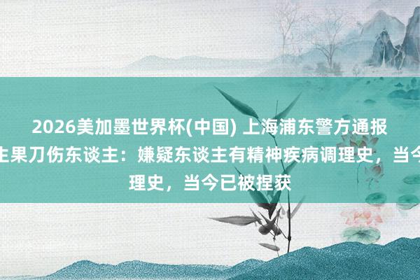 2026美加墨世界杯(中國) 上海浦東警方通報一須眉持生果刀