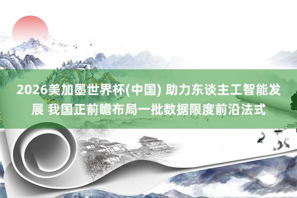 2026美加墨世界杯(中國) 助力東談主工智能發(fā)展 我國正前瞻布局一批數(shù)據(jù)限度前沿法式