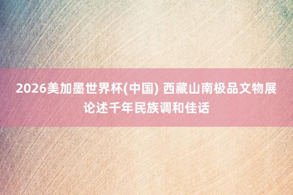 2026美加墨世界杯(中國) 西藏山南極品文物展論述千年民族