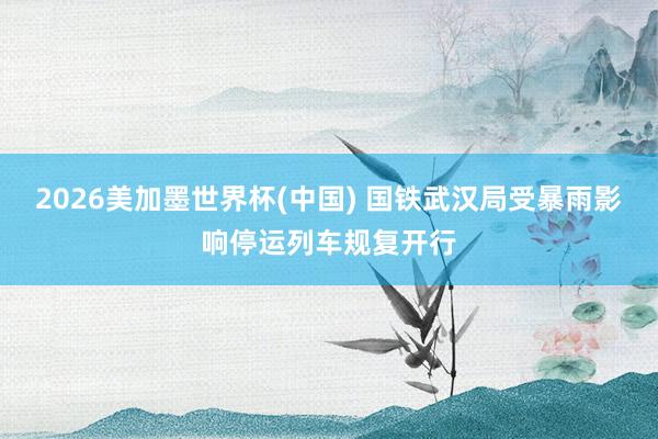 2026美加墨世界杯(中國(guó)) 國(guó)鐵武漢局受暴雨影響停運(yùn)列車規(guī)