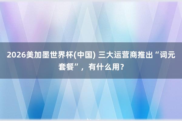 2026美加墨世界杯(中國) 三大運(yùn)營商推出“詞元套餐”，有什么用？