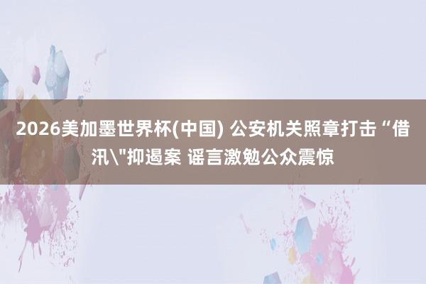 2026美加墨世界杯(中國) 公安機(jī)關(guān)照章打擊“借汛