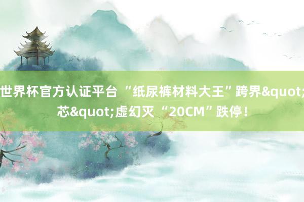 世界杯官方認證平臺 “紙尿褲材料大王”跨界&quot