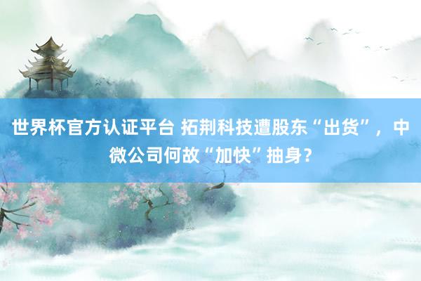世界杯官方認(rèn)證平臺 拓荊科技遭股東“出貨”，中微公司何故“加快”抽身？