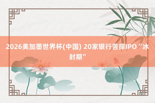 2026美加墨世界杯(中國(guó)) 20家銀行苦撐IPO“冰封期”