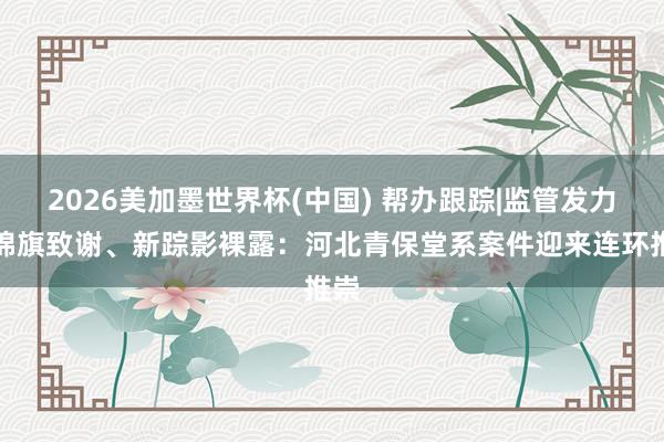 2026美加墨世界杯(中國) 幫辦跟蹤|監管發力、錦旗致謝、新蹤影裸露：河北青保堂系案件迎來連環推崇