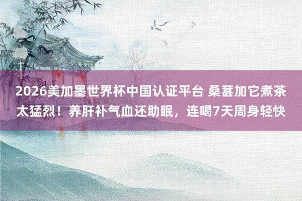 2026美加墨世界杯中國認證平臺 桑葚加它煮茶太猛烈！養肝補氣血還助眠，連喝7天周身輕快