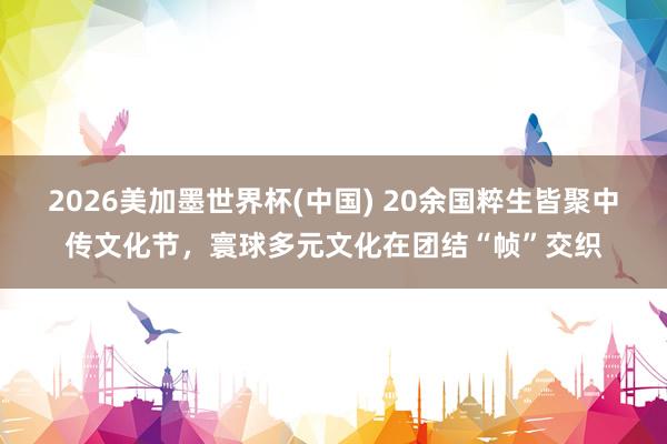 2026美加墨世界杯(中國(guó)) 20余國(guó)粹生皆聚中傳文化節(jié)，寰