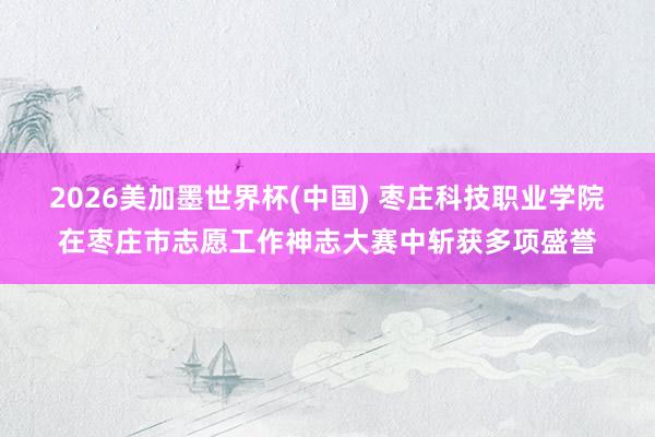 2026美加墨世界杯(中國) 棗莊科技職業學院在棗莊市志愿工