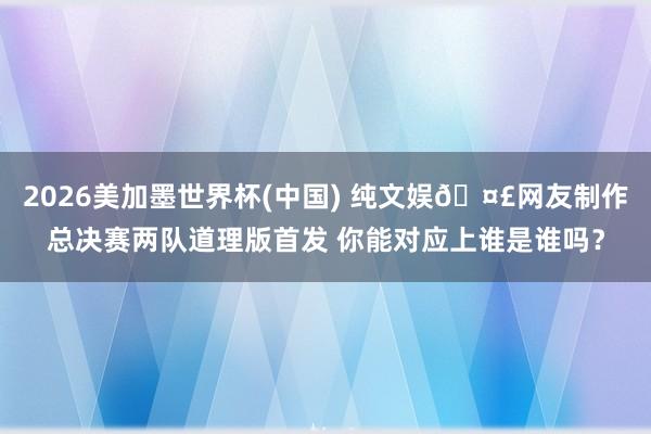 2026美加墨世界杯(中國) 純文娛??網友制作總決賽兩隊道理