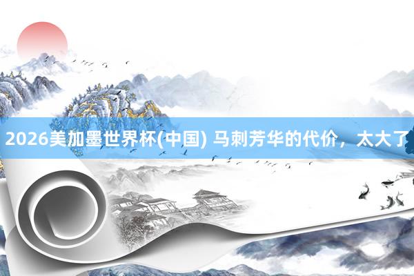 2026美加墨世界杯(中國(guó)) 馬刺芳華的代價(jià)，太大了