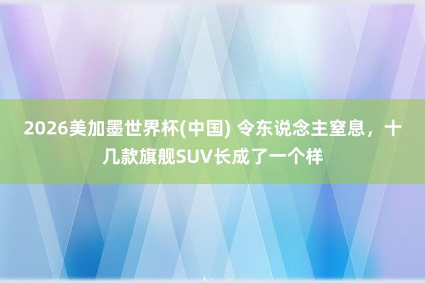 2026美加墨世界杯(中國(guó)) 令東說(shuō)念主窒息，十幾款旗艦SUV長(zhǎng)成了一個(gè)樣